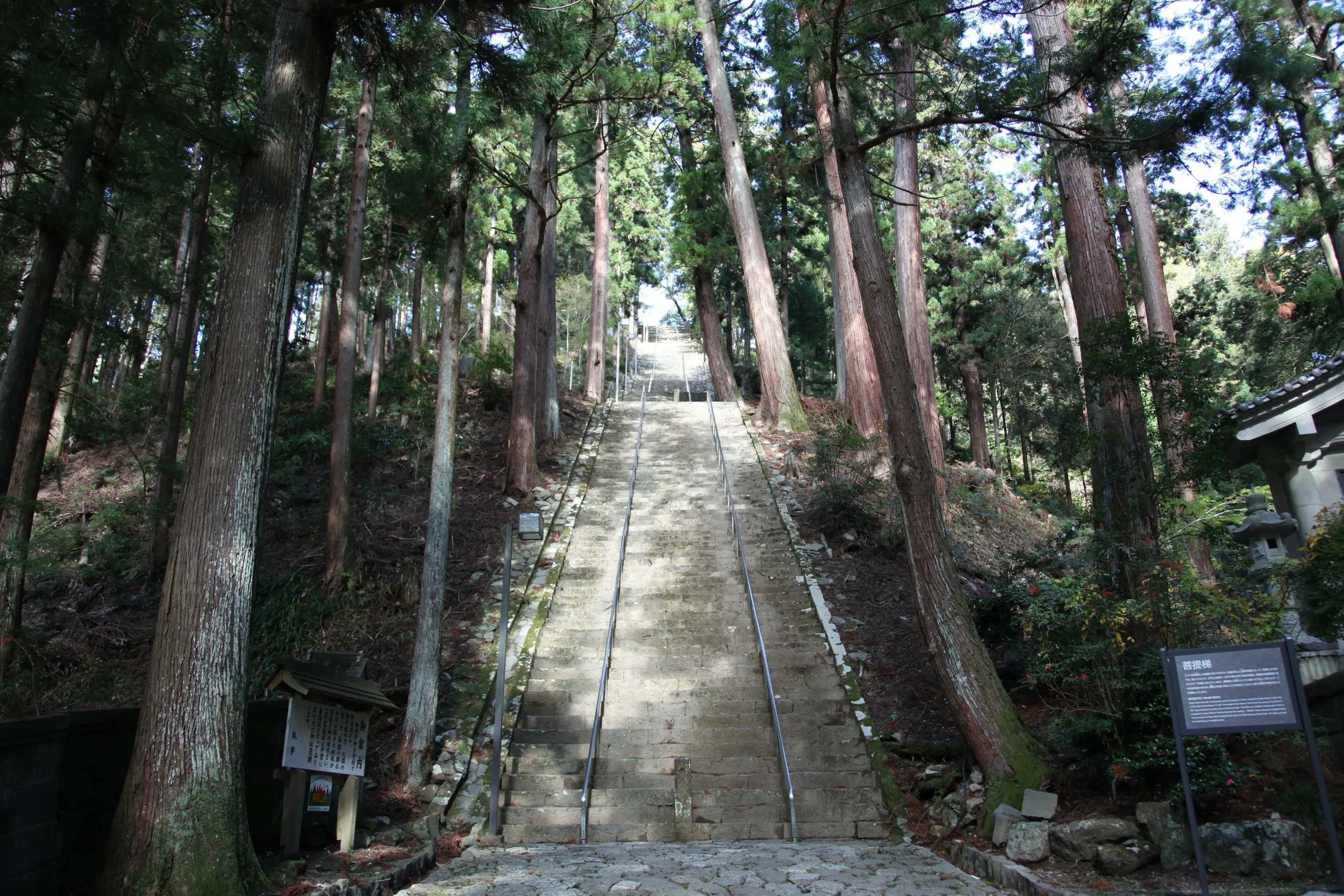 客室と庭園の様子