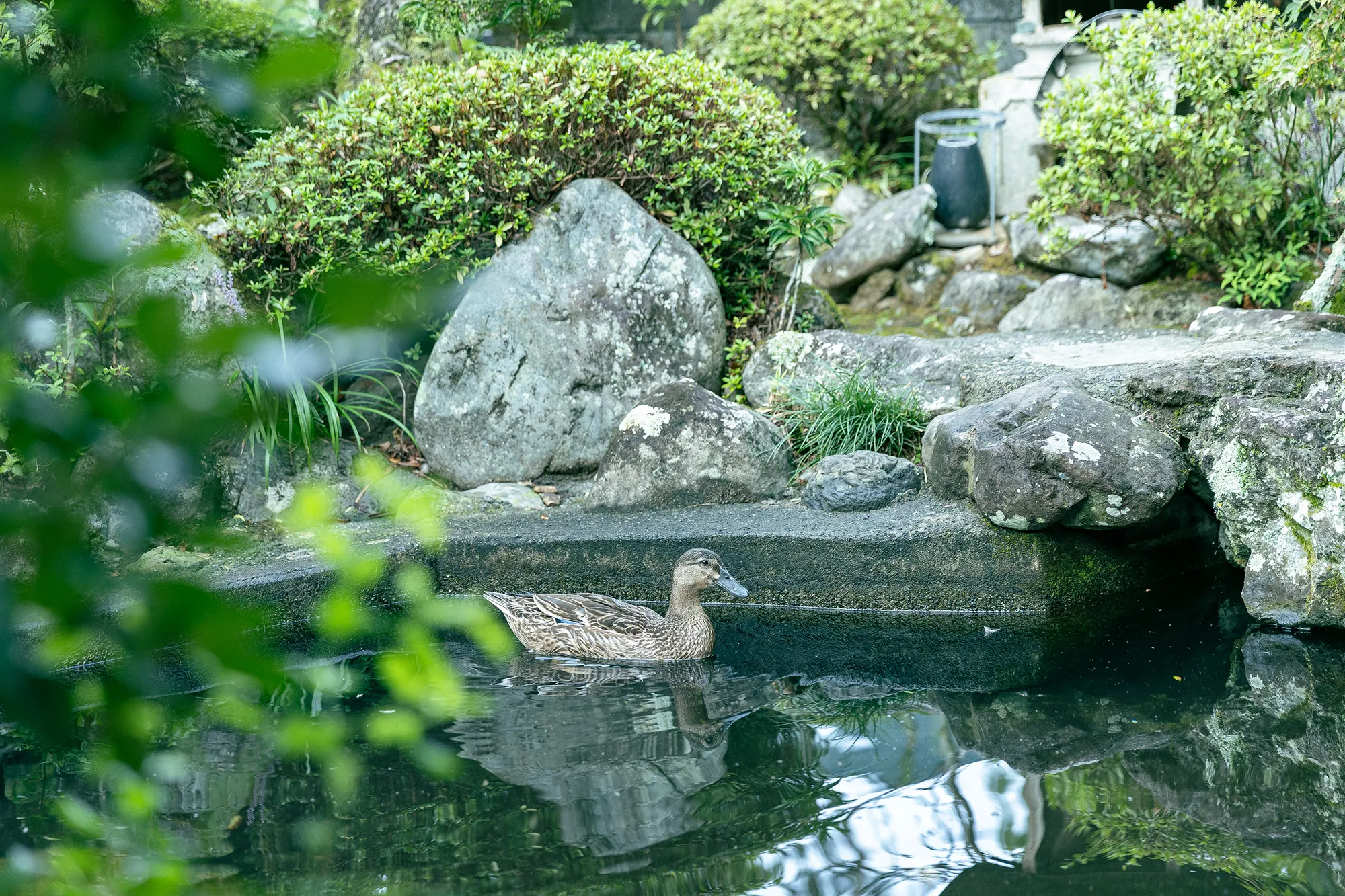 客室と庭園の様子